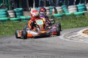 20110501_ales_agnus (2938)